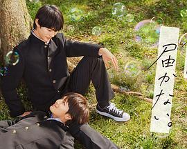 网站优化运营关键词推广